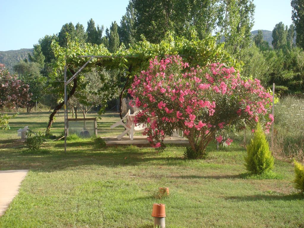 Villa Angela ซีเกีย ภายนอก รูปภาพ